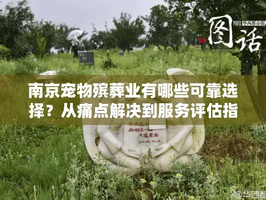 南京宠物殡葬业有哪些可靠选择?从痛点解决到服务评估指南 南京宠物殡葬业有哪些可靠选择?从痛点解决到服务评估指南