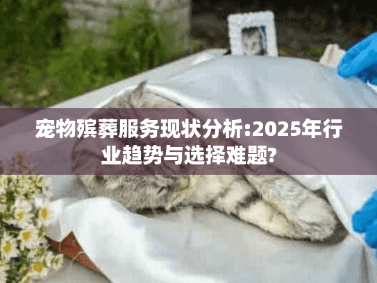 宠物殡葬服务现状分析:2025年行业趋势与选择难题?