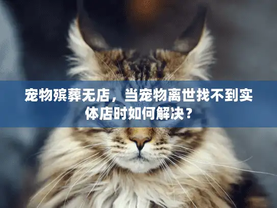 宠物殡葬无店，当宠物离世找不到实体店时如何解决？
