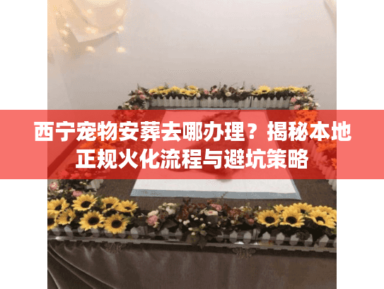 西宁宠物安葬去哪办理？揭秘本地正规火化流程与避坑策略