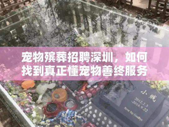 宠物殡葬招聘深圳，如何找到真正懂宠物善终服务的人才？