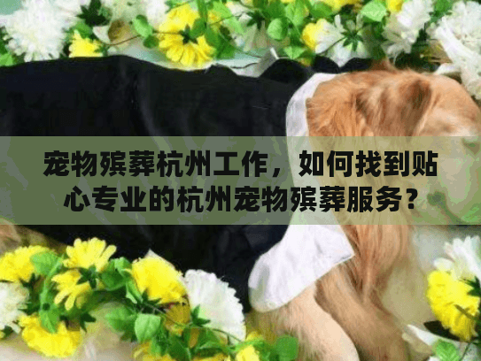 宠物殡葬杭州工作，如何找到贴心专业的杭州宠物殡葬服务？
