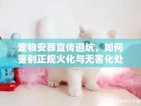 宠物安葬宣传避坑,如何鉴别正规火化与无害化处理服务? 宠物安葬宣传避坑,如何鉴别正规火化与无害化处理服务?