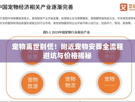 宠物离世别慌！附近宠物安葬全流程避坑与价格揭秘