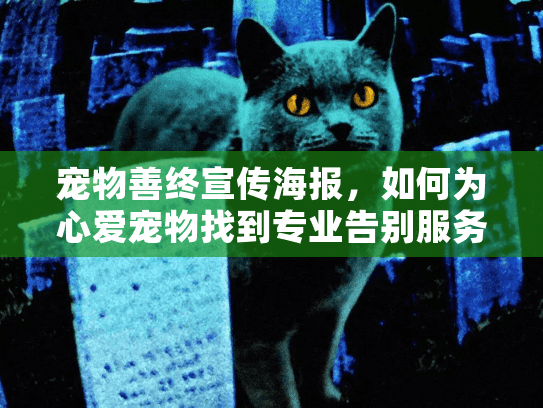 宠物善终宣传海报，如何为心爱宠物找到专业告别服务？