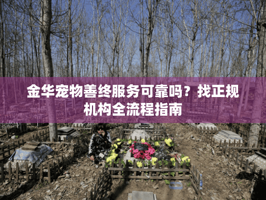 金华宠物善终服务可靠吗？找正规机构全流程指南