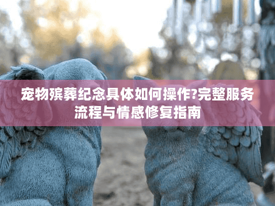 宠物殡葬纪念具体如何操作?完整服务流程与情感修复指南