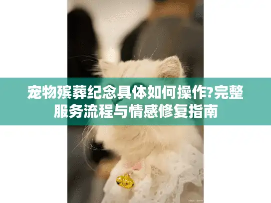 宠物殡葬纪念具体如何操作?完整服务流程与情感修复指南