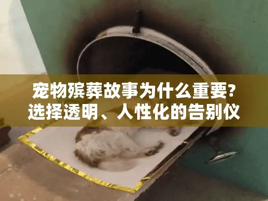 宠物殡葬故事为什么重要?选择透明、人性化的告别仪式告别焦虑