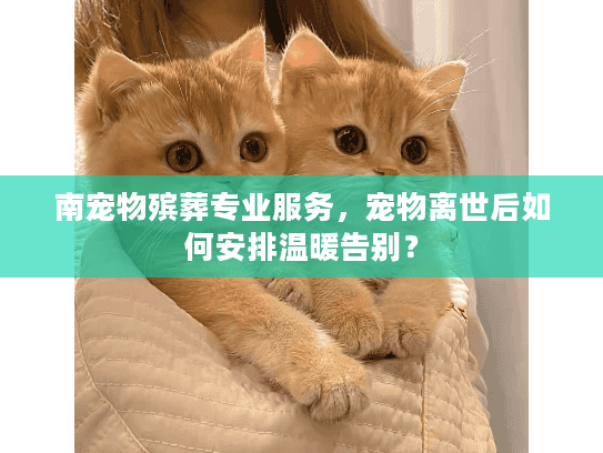 南宠物殡葬专业服务，宠物离世后如何安排温暖告别？
