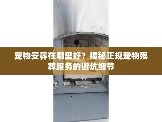 宠物安葬在哪里好？揭秘正规宠物殡葬服务的避坑细节