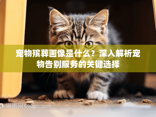 宠物殡葬画像是什么？深入解析宠物告别服务的关键选择