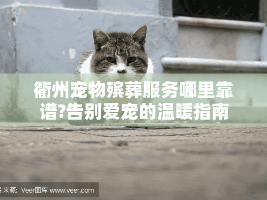 衢州宠物殡葬服务哪里靠谱?告别爱宠的温暖指南