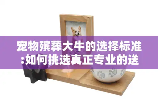 宠物殡葬大牛的选择标准:如何挑选真正专业的送别服务 宠物殡葬大牛的选择标准:如何挑选真正专业的送别服务
