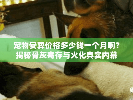 宠物安葬价格多少钱一个月啊？揭秘骨灰寄存与火化真实内幕