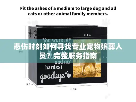 悲伤时刻如何寻找专业宠物殡葬人员?完整服务指南 悲伤时刻如何寻找专业宠物殡葬人员?完整服务指南
