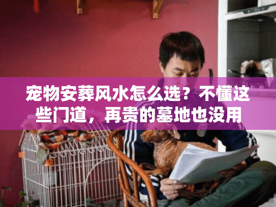 宠物安葬风水怎么选？不懂这些门道，再贵的墓地也没用