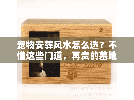 宠物安葬风水怎么选？不懂这些门道，再贵的墓地也没用