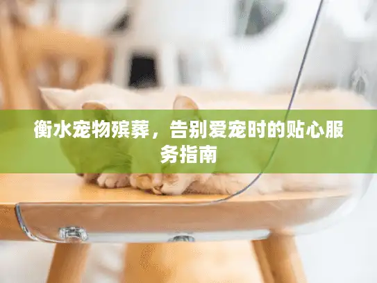 衡水宠物殡葬，告别爱宠时的贴心服务指南