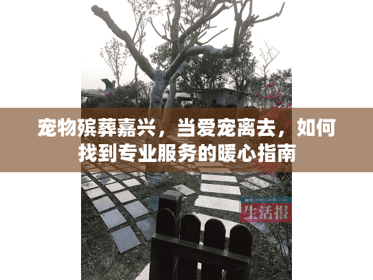宠物殡葬嘉兴，当爱宠离去，如何找到专业服务的暖心指南