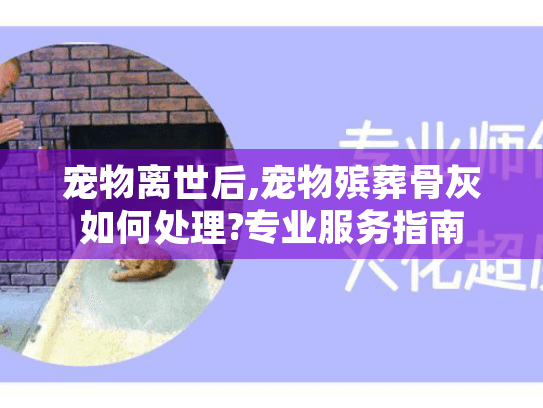 宠物离世后,宠物殡葬骨灰如何处理?专业服务指南