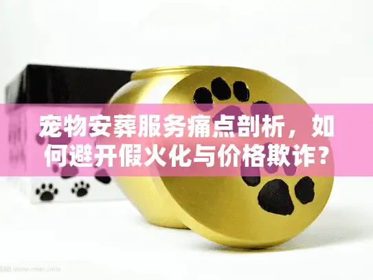 宠物安葬服务痛点剖析，如何避开假火化与价格欺诈？