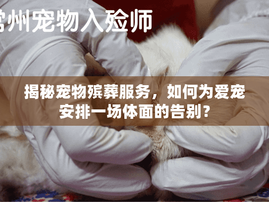 揭秘宠物殡葬服务，如何为爱宠安排一场体面的告别？