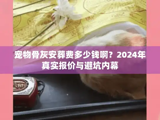宠物骨灰安葬费多少钱啊？2024年真实报价与避坑内幕