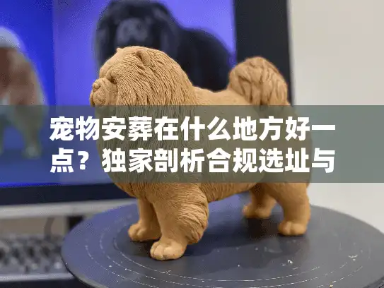 宠物安葬在什么地方好一点?独家剖析合规选址与告别仪式 宠物安葬在什么地方好一点?独家剖析合规选址与告别仪式