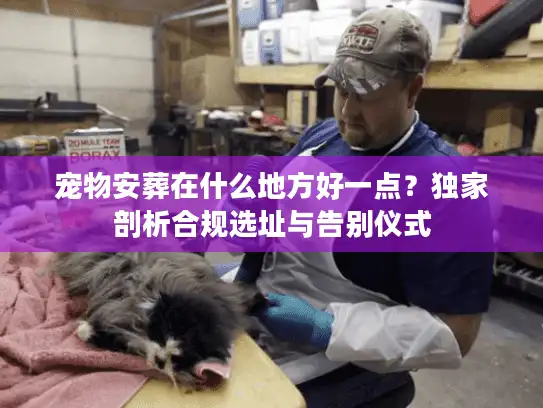 宠物安葬在什么地方好一点?独家剖析合规选址与告别仪式 宠物安葬在什么地方好一点?独家剖析合规选址与告别仪式