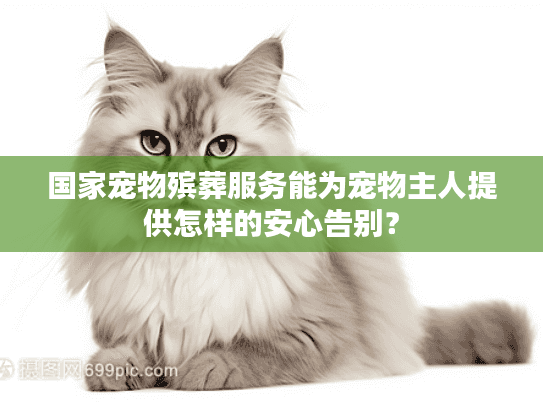 国家宠物殡葬服务能为宠物主人提供怎样的安心告别？