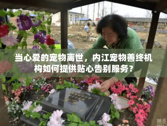 当心爱的宠物离世，内江宠物善终机构如何提供贴心告别服务？
