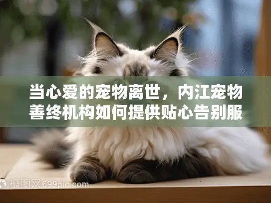 当心爱的宠物离世，内江宠物善终机构如何提供贴心告别服务？