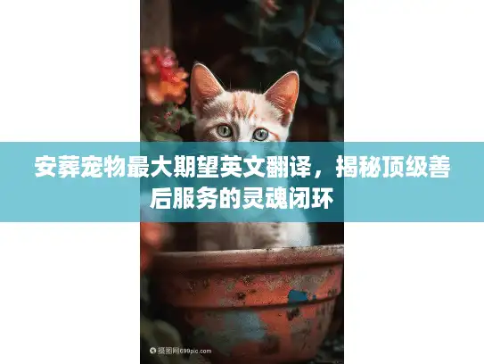 安葬宠物最大期望英文翻译,揭秘顶级善后服务的灵魂闭环 安葬宠物最大期望英文翻译,揭秘顶级善后服务的灵魂闭环