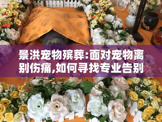 景洪宠物殡葬:面对宠物离别伤痛,如何寻找专业告别服务?