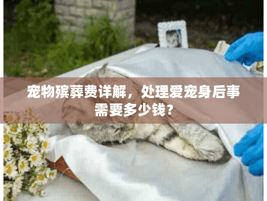 宠物殡葬费详解，处理爱宠身后事需要多少钱？