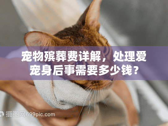 宠物殡葬费详解，处理爱宠身后事需要多少钱？