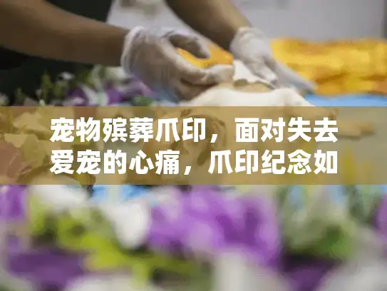 宠物殡葬爪印，面对失去爱宠的心痛，爪印纪念如何修复破碎回忆？