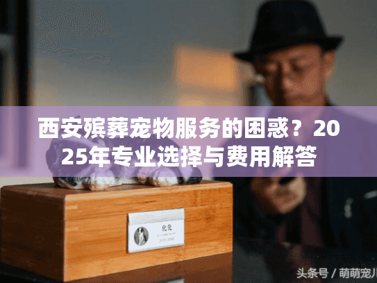西安殡葬宠物服务的困惑？2025年专业选择与费用解答