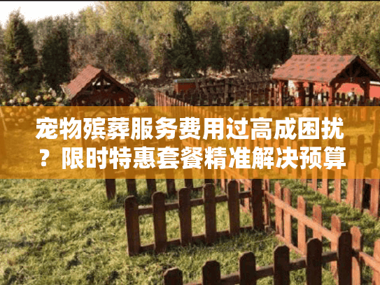 宠物殡葬服务费用过高成困扰？限时特惠套餐精准解决预算难题