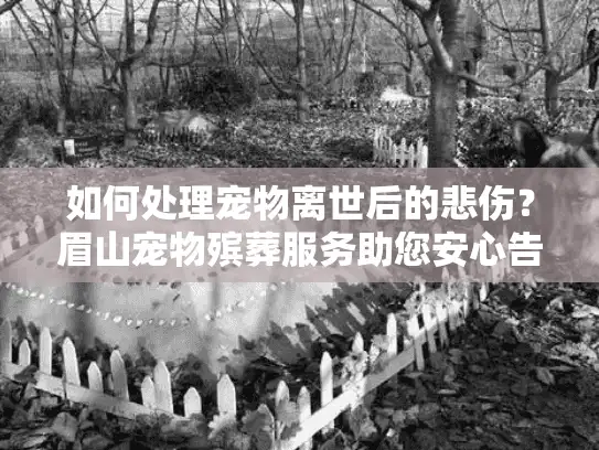 如何处理宠物离世后的悲伤?眉山宠物殡葬服务助您安心告别 如何处理宠物离世后的悲伤?眉山宠物殡葬服务助您安心告别