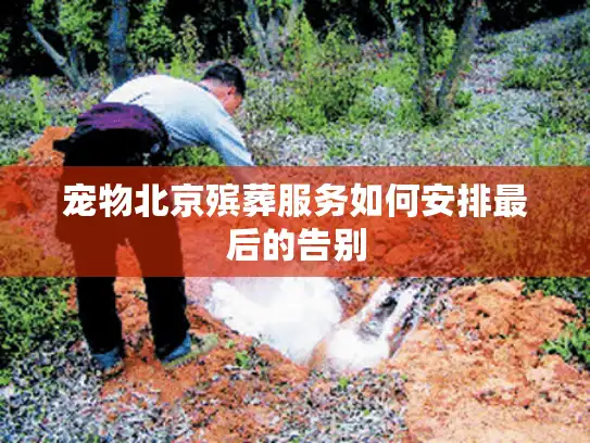 宠物北京殡葬服务如何安排最后的告别