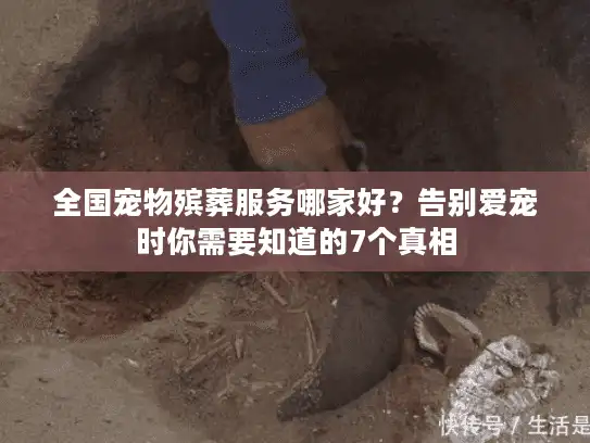 全国宠物殡葬服务哪家好？告别爱宠时你需要知道的7个真相