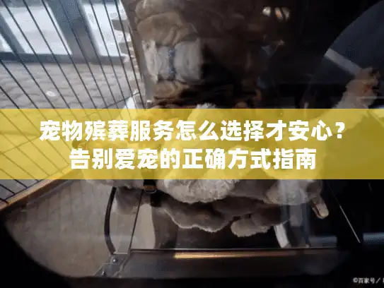 宠物殡葬服务怎么选择才安心?告别爱宠的正确方式指南 宠物殡葬服务怎么选择才安心?告别爱宠的正确方式指南