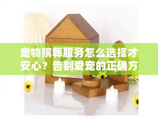 宠物殡葬服务怎么选择才安心?告别爱宠的正确方式指南 宠物殡葬服务怎么选择才安心?告别爱宠的正确方式指南