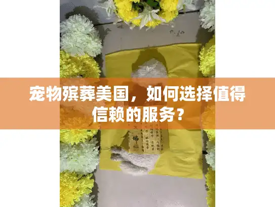 宠物殡葬美国,如何选择值得信赖的服务? 宠物殡葬美国,如何选择值得信赖的服务?