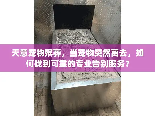 天意宠物殡葬，当宠物突然离去，如何找到可靠的专业告别服务？