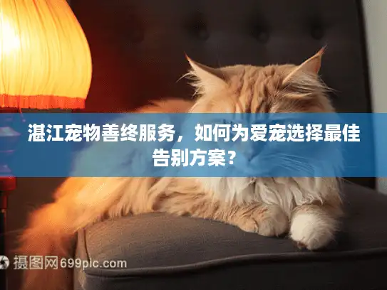 湛江宠物善终服务,如何为爱宠选择最佳告别方案? 湛江宠物善终服务,如何为爱宠选择最佳告别方案?