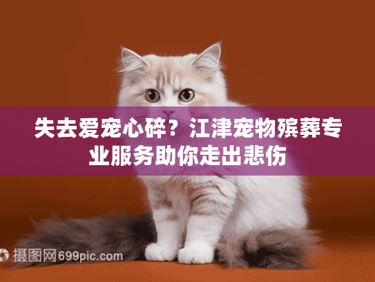 失去爱宠心碎？江津宠物殡葬专业服务助你走出悲伤