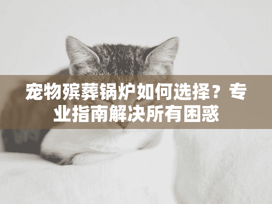宠物殡葬锅炉如何选择?专业指南解决所有困惑 宠物殡葬锅炉如何选择?专业指南解决所有困惑